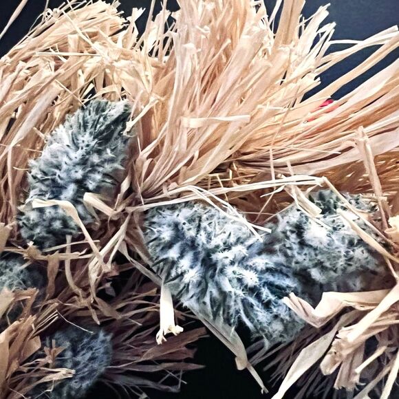 NWT Natural Corn Straw Husk 26” Wreath with  Pinecones Seasonal Boho Shabby Chic - Picture 3 of 5